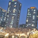 수선화메디칼