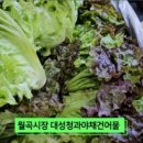 싱싱야채청과 이미지