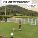 하늘채 펜션 | 전북 고창 애견동반 펜션 &#34;선운산하늘채펜션&#34; 내돈내산 만족후기