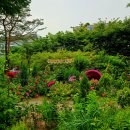 밤섬이야기 | [한강벨트 시리즈 6] 서울달 아래 여의도와 밤섬의 시간을 걷다
