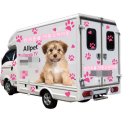 보람애견 이미지