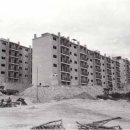 수원-1977 이미지