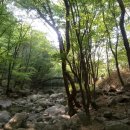세명여행사 이미지