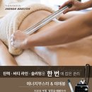 테라노바