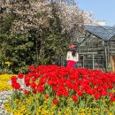 농업테마파크 | 창원 아이랑 가볼만한곳 진해 창원농업테마파크 농업기술센터