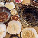 갈비꽃 향남점