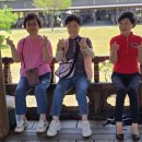 포천 산사춘 이미지