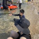 동동쓰 네이버블로그
