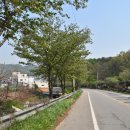 박거겸 장군 묘 이미지