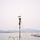 서형수산 이미지