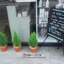 투에이치헤어 네이버블로그