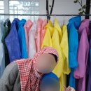 표선면-4 | 제주 표선면 낙타체험｜4살 아이랑 해본 솔직 후기 (유아 가능)