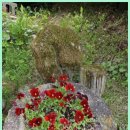 아르보르펜션 이미지