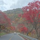 풍기선비골인삼시장 | 🍁 [가을여행] 제천·단양 가족여행 2박 3일 후기