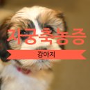 소랑동물병원 이미지