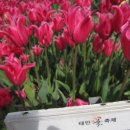 프리티러브 이미지