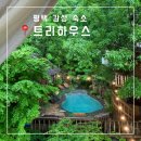 트리하우스민박 | 서울 근교 감성 숙소 ‘트리하우스 - 상수리’ ｜ 프라이빗 수영장 솔직 후기 및 가격 정보 (내돈내산)