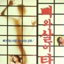 해솔 이미지