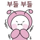 비케이구매대행
