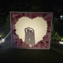 시크릿가든 | 경기 이천 별빛정원 우주 시크릿가든 후기, 사진보다 직접 본 게 더 예뻤어요