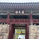 무장초등길 | 2026 고창축제 무장읍성축제 다녀온 후기