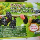 황토뽕 농장 이미지
