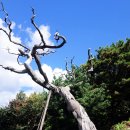 논공(대구) 이미지