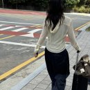 부우사안 이미지