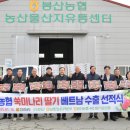 딸기명가