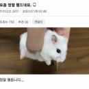 딱스 이미지