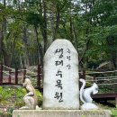 금원산 자연휴양림의 살아있는 숲 생태수목원