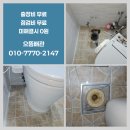 관동환경 | 관동 변기막힘 배관역류 원인제거 안심업체 현장후기