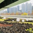 수영강변대로 이미지