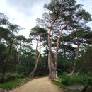 무풍시장 이미지