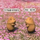 성수 이미지