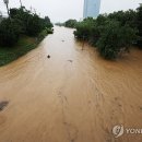 오산천 산책로 이미지