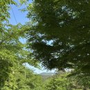 김제 모악산 캠핑장 후기 자연 속 힐링 오토캠핑장