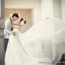 로이(ROI) 이미지
