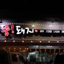 찌개랑뚱돼지랑 이미지