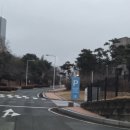 프라이빗 경주 | 강동리조트 경주 프라이빗 콘도 방문 후기 (내부 시설 / 가격)