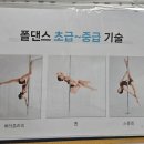 라인댄스 | [부산폴댄스/덕천폴댄스] 폴댄스 완전처음인 초보도 할 수 있는 "오하운폴댄스" 방문후기