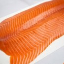 헤이연어 (Hei연어) 이미지