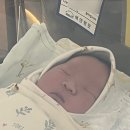 상주중학교 | 에덴병원 제왕절개 입원 상세 후기