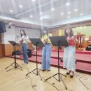 오케이노래방 | 한국실용생활음악협회 대구 우쿨렐레 행사 즐족회 강당 콘서트 후기