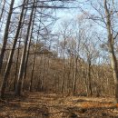 매봉산1 이미지