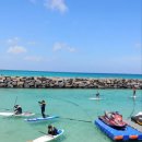 정화 태권도장 이미지