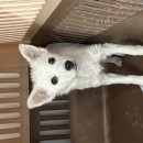 수출대로-36 이미지