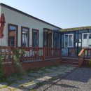 제주키즈풀빌라 나무와 아이 이미지