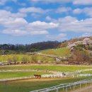 서정목장 이미지