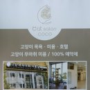 캣살롱코코 이미지